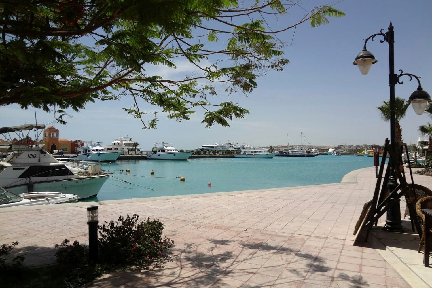 Orange Bay Snorkeling Day